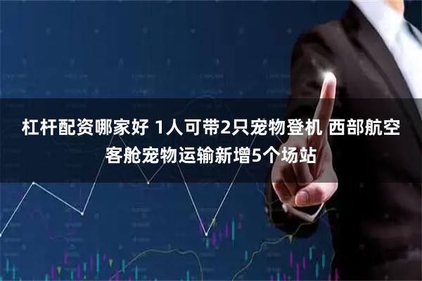 杠杆配资哪家好 1人可带2只宠物登机 西部航空客舱宠物运输新增5个场站
