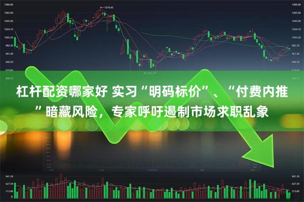 杠杆配资哪家好 实习“明码标价”、“付费内推”暗藏风险，专家呼吁遏制市场求职乱象